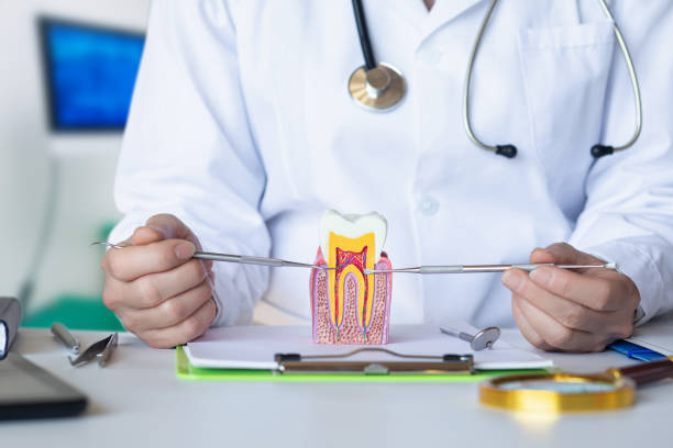 Best Emergency Dental Care for Trauma or Injury in Ashland, IL